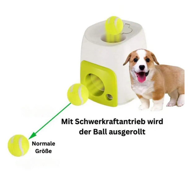 Automatische Ballwurfmaschine